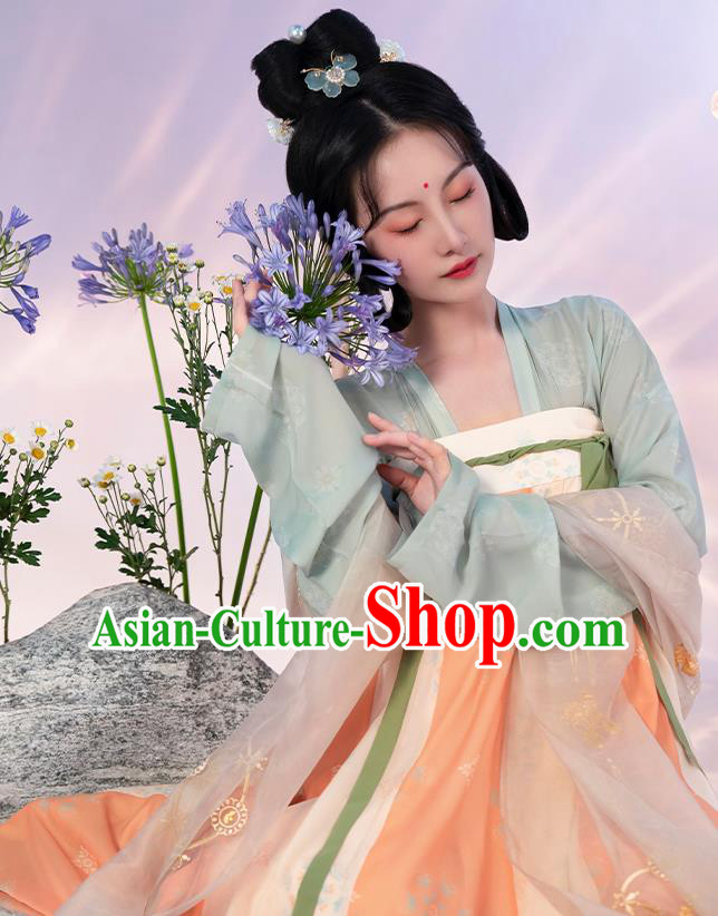 China Ancient Court Lady Hanfu Dress Apparels Traditional Tang Dynasty Historical Clothing