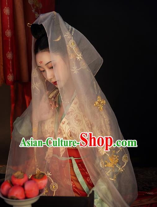 China Ancient Tang Dynasty Court Beauty Historical Clothing Traditional Classical Dance Hanfu Costumes
