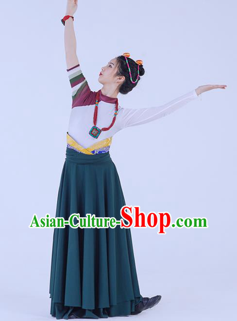 China Traditional Zang Nationality Folk Dance Clothing Tibetan Ethnic Women Dance Robe Outfits