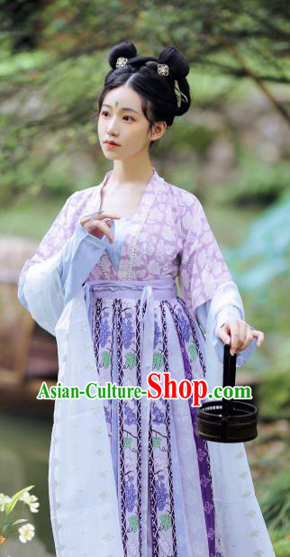 China Traditional Early Tang Dynasty Historical Costumes Ancient Palace Lady Hanfu Apparels Clothing