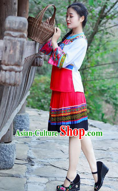 Chinese Miao Nationality Young Lady Clothing Hmong Ethnic Folk Dance Costumes