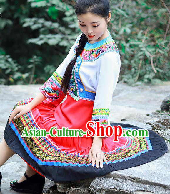 Chinese Miao Nationality Young Lady Clothing Hmong Ethnic Folk Dance Costumes
