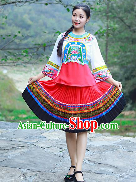 Chinese Miao Nationality Young Lady Clothing Hmong Ethnic Folk Dance Costumes