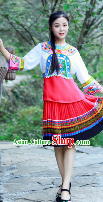 Chinese Miao Nationality Young Lady Clothing Hmong Ethnic Folk Dance Costumes