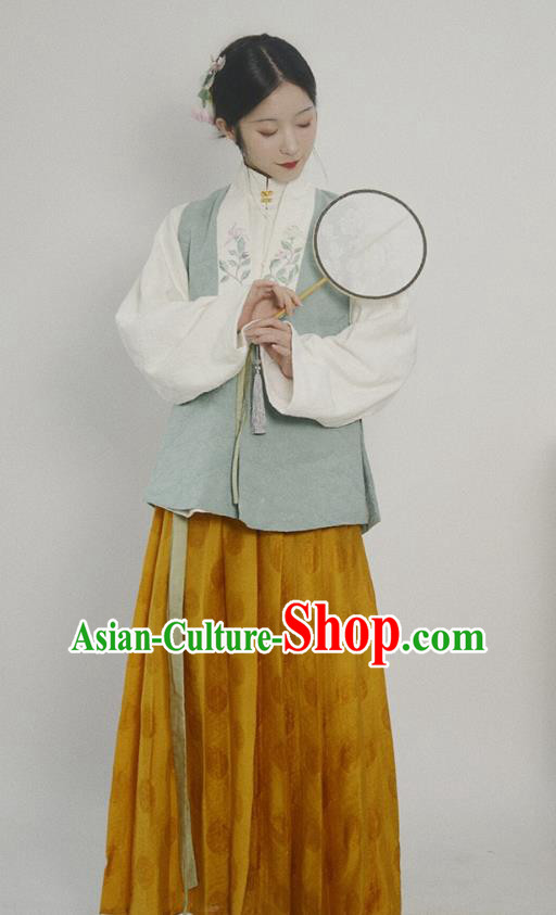 China Ancient Patrician Beauty Hanfu Costumes Traditional Ming Dynasty Historical Clothing