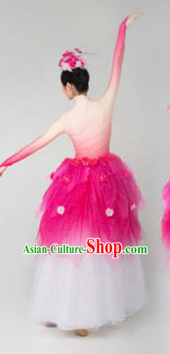 China Opening Dance Rosy Veil Dress Spring Festival Gala Flowers Fairy Dance Costume