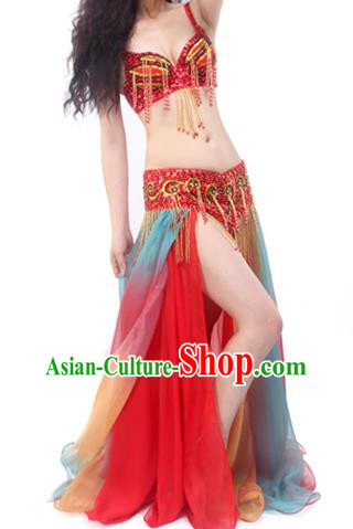 Traditional India Raks Sharki Belly Dance Outfits Asian Indian Oriental Dance Performance Red Clothing