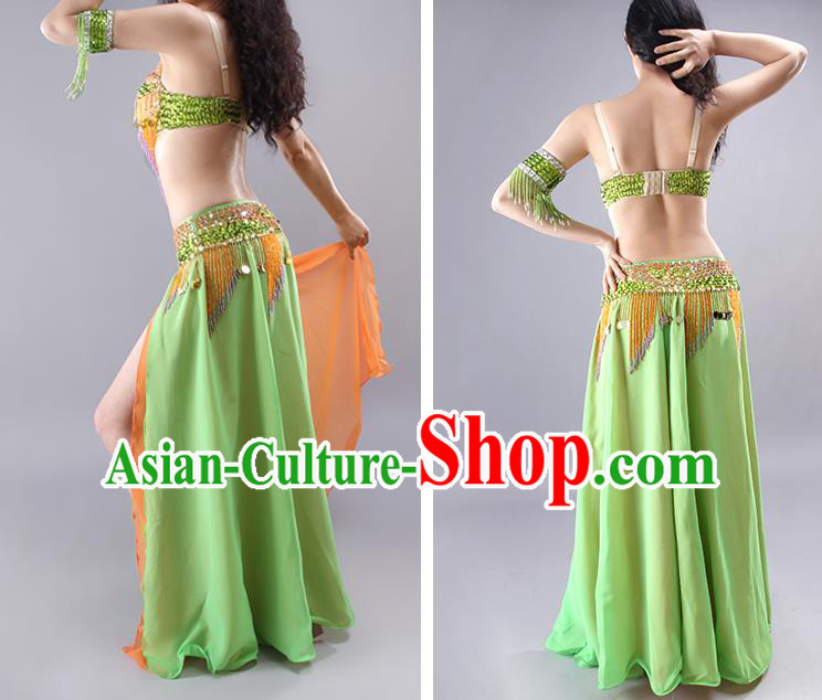 Traditional India Raks Sharki Bra and Green Skirt Outfits Asian Indian Belly Dance Clothing