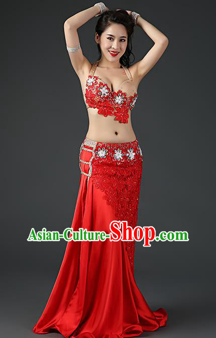 Asian Oriental Dance Embroidered Bra and Red Skirt Traditional Indian Belly Dance Stage Performance Outfits Clothing
