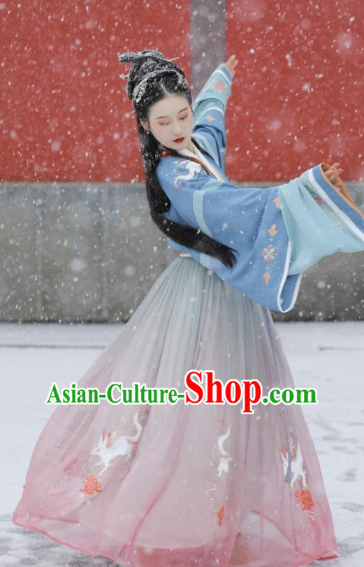 China Ancient Imperial Concubine Embroidered Hanfu Dress Traditional Jin Dynasty Court Beauty Hanfu Clothing