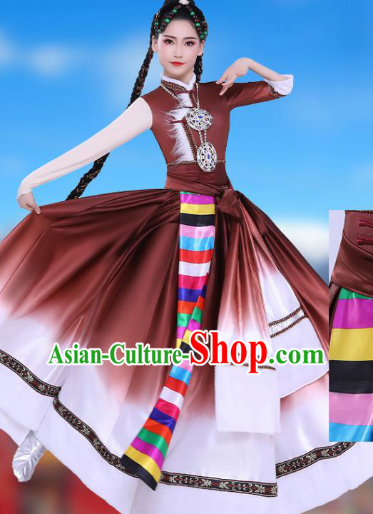 Chinese Traditional Zang Nationality Folk Dance Clothing Xizang Tibetan Ethnic Performance Brown Dress
