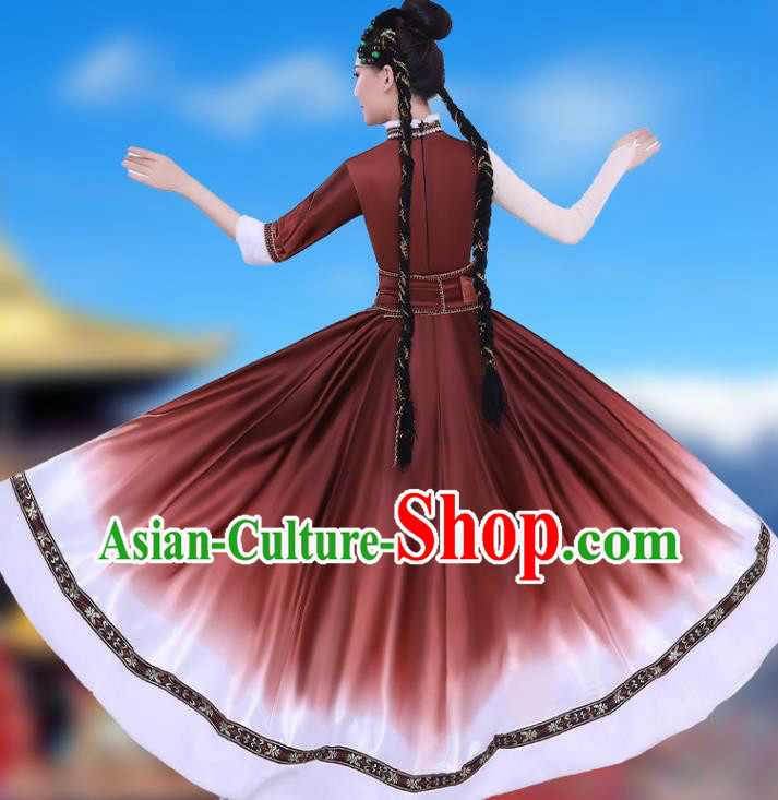 Chinese Traditional Zang Nationality Folk Dance Clothing Xizang Tibetan Ethnic Performance Brown Dress