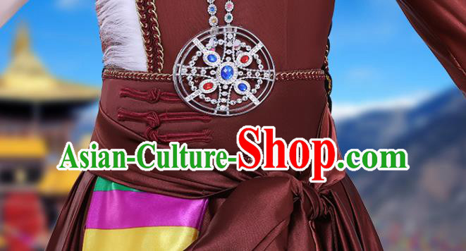 Chinese Traditional Zang Nationality Folk Dance Clothing Xizang Tibetan Ethnic Performance Brown Dress