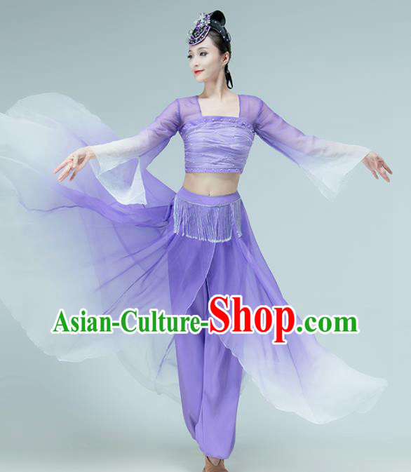 Professional Chinese Classical Dance Performance Clothing Fan Dance Violet Outfits