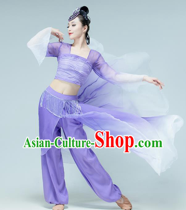 Professional Chinese Classical Dance Performance Clothing Fan Dance Violet Outfits