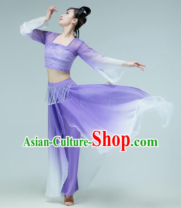 Professional Chinese Classical Dance Performance Clothing Fan Dance Violet Outfits