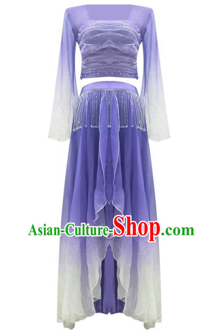 Professional Chinese Classical Dance Performance Clothing Fan Dance Violet Outfits