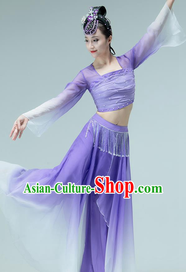 Professional Chinese Classical Dance Performance Clothing Fan Dance Violet Outfits