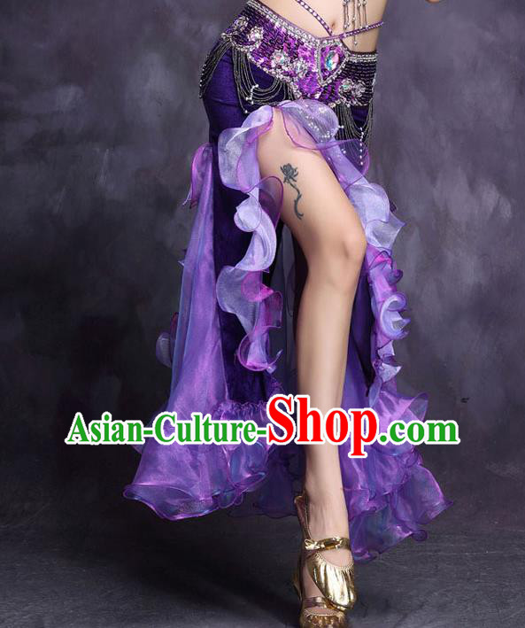 Top Indian Belly Dance Purple Skirt Asian India Oriental Dance Raks Sharki Stage Performance Costume