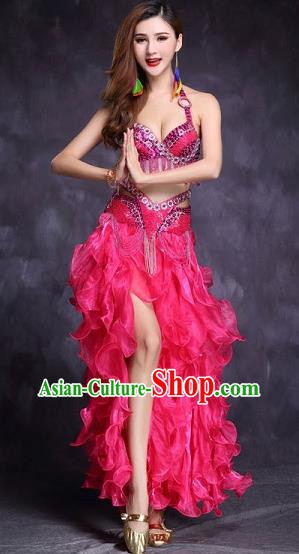 Indian Traditional Belly Dance Stage Performance Sexy Rosy Uniforms Asian India Raks Sharki Clothing