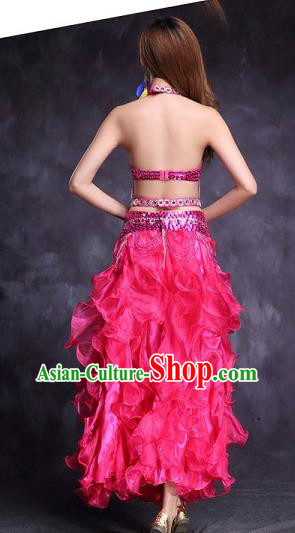 Indian Traditional Belly Dance Stage Performance Sexy Rosy Uniforms Asian India Raks Sharki Clothing