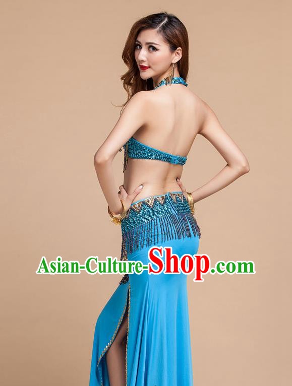 Asian Indian Oriental Dance Blue Uniforms Traditional Raks Sharki Bra and Skirt Top Belly Dance Stage Performance Clothing