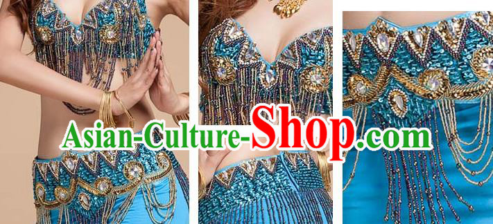 Asian Indian Oriental Dance Blue Uniforms Traditional Raks Sharki Bra and Skirt Top Belly Dance Stage Performance Clothing