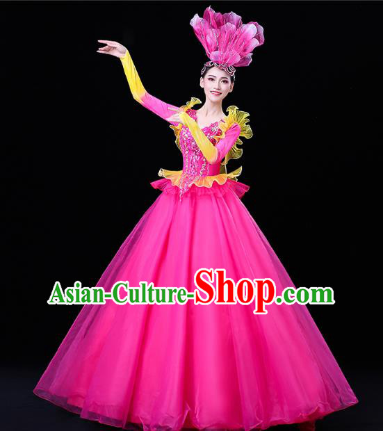 China Modern Dance Flower Dance Clothing Spring Festival Gala Opening Dance Rosy Veil Dress