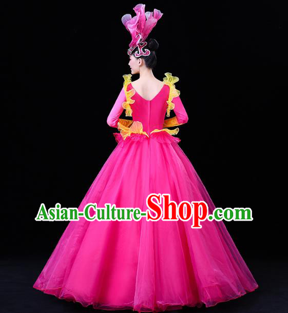 China Modern Dance Flower Dance Clothing Spring Festival Gala Opening Dance Rosy Veil Dress