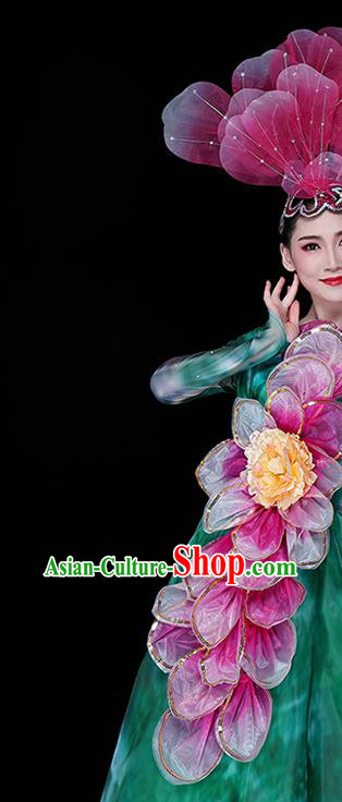 China Modern Dance Group Dance Clothing Spring Festival Gala Opening Dance Green Dress