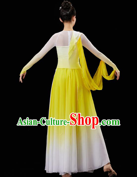 China Traditional Umbrella Dance Garment Solo Dance Clothing Classical Dance Yellow Dress
