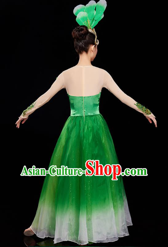 Chinese Woman Group Dance Green Dress Traditional Spring Festival Gala Peony Dance Costume