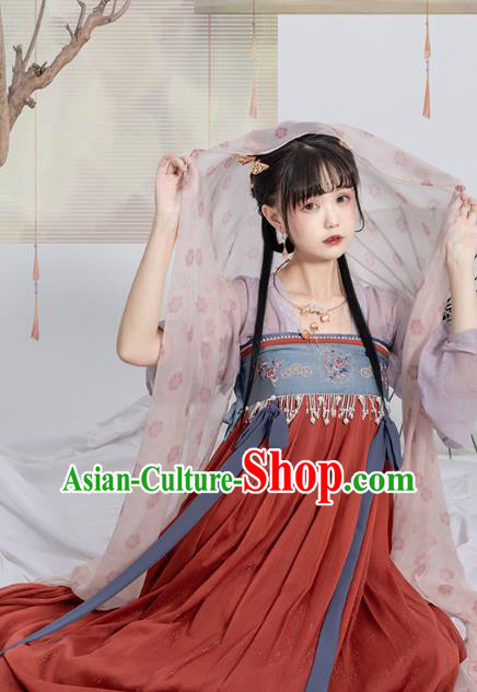 China Traditional Red Hanfu Dress Ancient Tang Dynasty Palace Princess Historical Clothing
