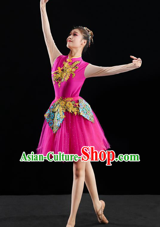 China Modern Dance Clothing Jazz Dance Rosy Dress Spring Festival Gala Performance Outfits