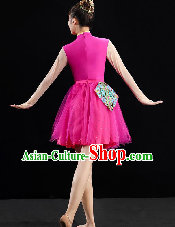 China Modern Dance Clothing Jazz Dance Rosy Dress Spring Festival Gala Performance Outfits