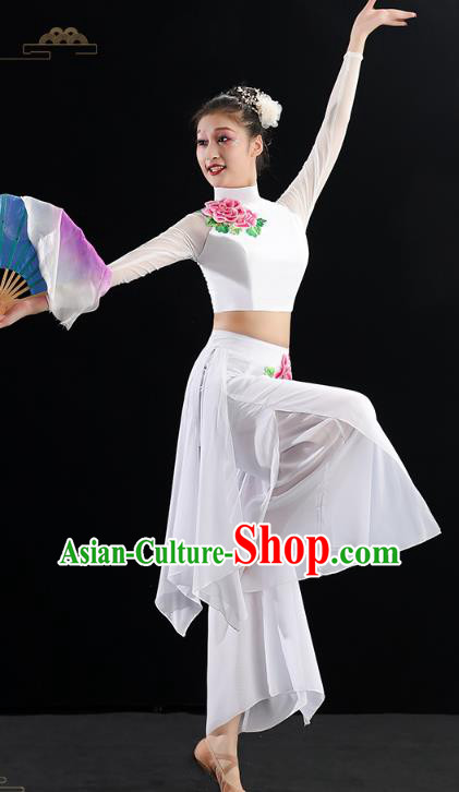 Chinese Umbrella Dance Clothing Traditional Classical Dance Costumes Woman Solo Dance White Outfits