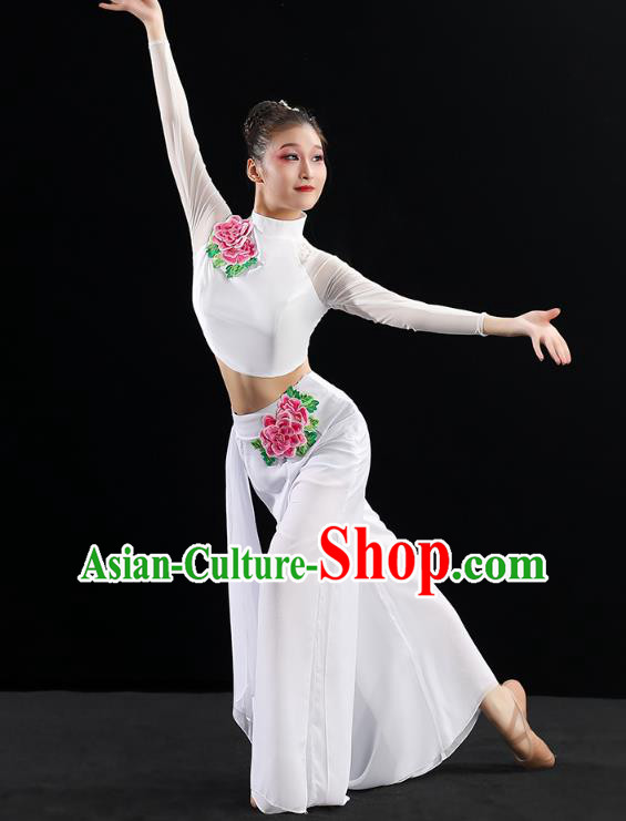 Chinese Umbrella Dance Clothing Traditional Classical Dance Costumes Woman Solo Dance White Outfits