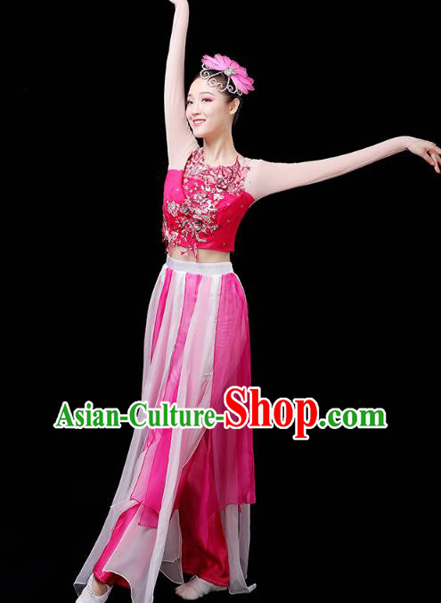 Chinese Traditional Solo Dance Performance Clothing Classical Dance Costume Umbrella Dance Rosy Dress