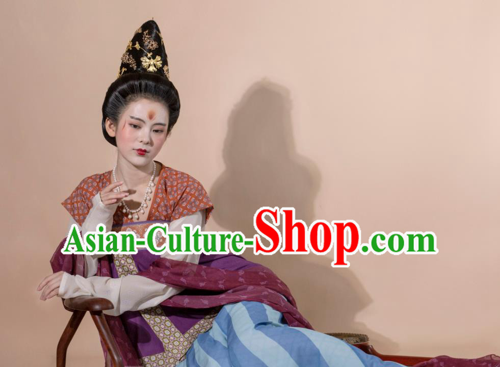 China Ancient Imperial Concubine Hanfu Dress Traditional Tang Dynasty Court Beauty Historical Clothing