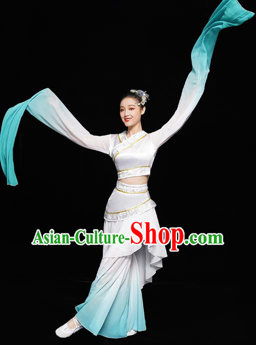 Chinese Classical Dance Performance Clothing Water Sleeve Dress Traditional Court Dance Costumes