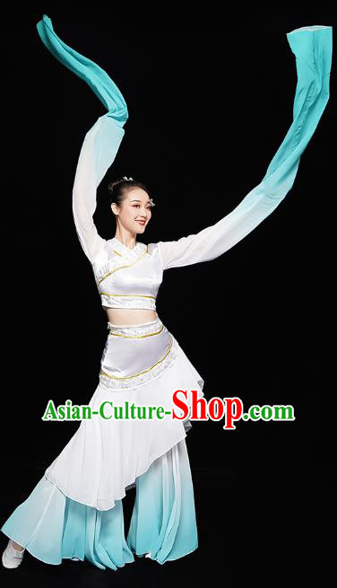 Chinese Classical Dance Performance Clothing Water Sleeve Dress Traditional Court Dance Costumes