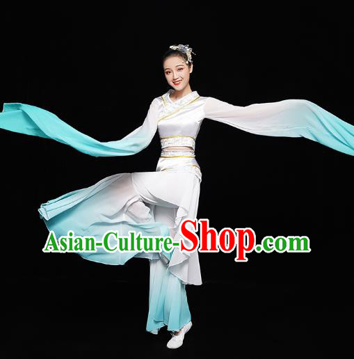Chinese Classical Dance Performance Clothing Water Sleeve Dress Traditional Court Dance Costumes