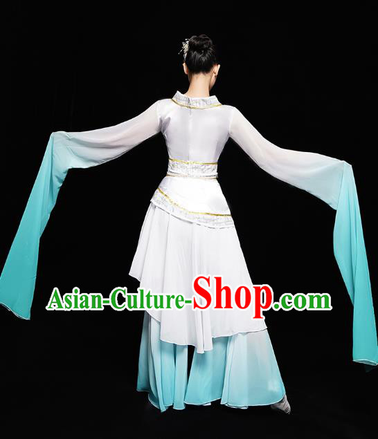 Chinese Classical Dance Performance Clothing Water Sleeve Dress Traditional Court Dance Costumes
