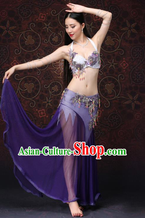 Asian Raks Sharki Performance Purple Uniforms Indian Belly Dance Costumes Oriental Dance Bra and Skirt
