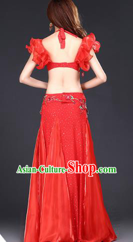 Indian Oriental Dance Red Bra and Skirt Uniforms Asian Belly Dance Training Costumes