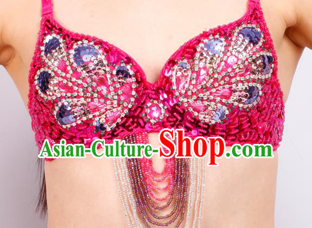 Asian Oriental Dance Rosy Bra and Skirt Stage Performance Uniforms Indian Belly Dance Costumes