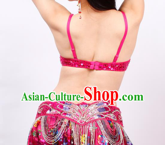 Asian Oriental Dance Rosy Bra and Skirt Stage Performance Uniforms Indian Belly Dance Costumes
