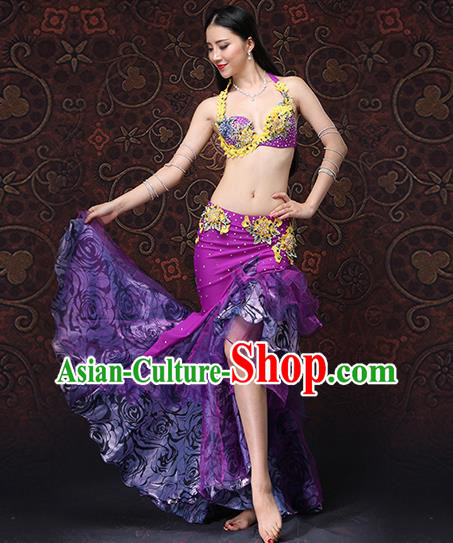 Asian Belly Dance Costumes Indian Raks Sharki Bra and Skirt Oriental Dance Purple Uniforms