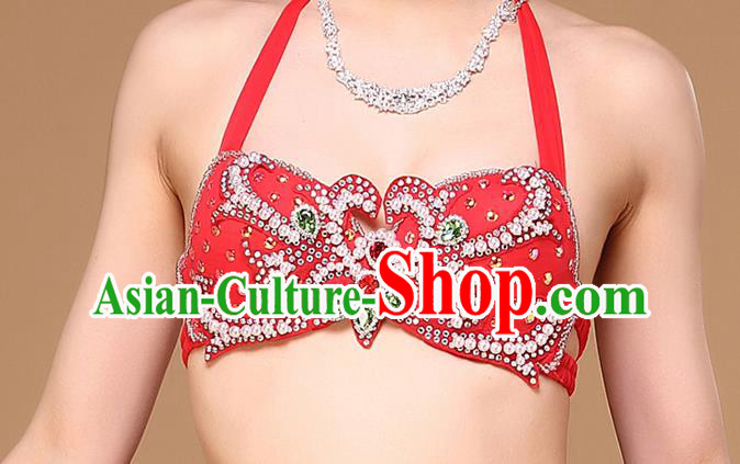 Indian Oriental Dance Clothing Belly Dance Red Dress Asian Raks Sharki Bra and Skirt