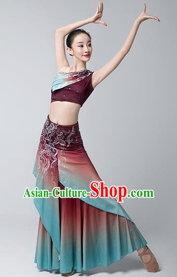 China Ethnic Female Peacock Dance Garments Yunnan Minority Folk Dance Wine Red Dress Dai Nationality Stage Performance Clothing